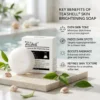 Teashell Niacinamide Skin Brightening Soap - 100g